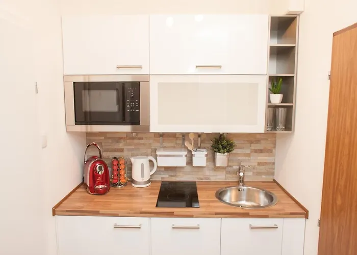 Apartamento Deluxe Viena